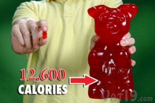 5-pound-gummy-bear-535x355